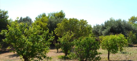 5 غرف نوم عقار تجاري في Paiania, Greece رقم 7574 20