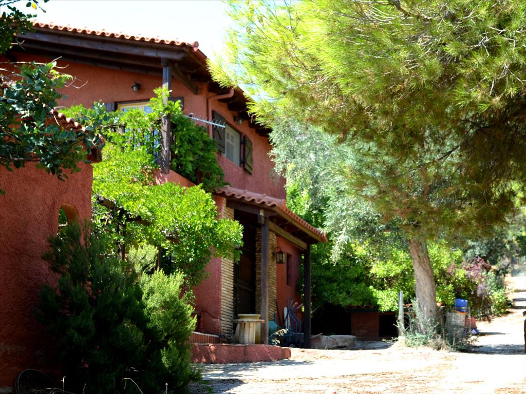 5 bedrooms Villa in Paiania, Greece No. 7574