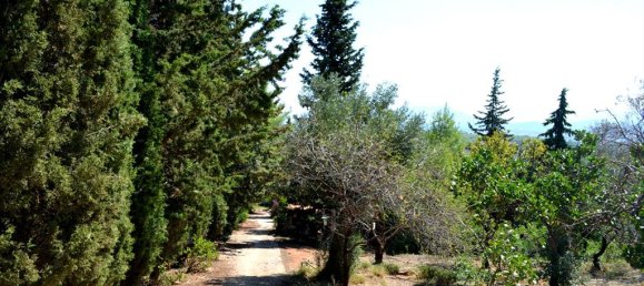 5 bedrooms Villa in Paiania, Greece No. 7574 19