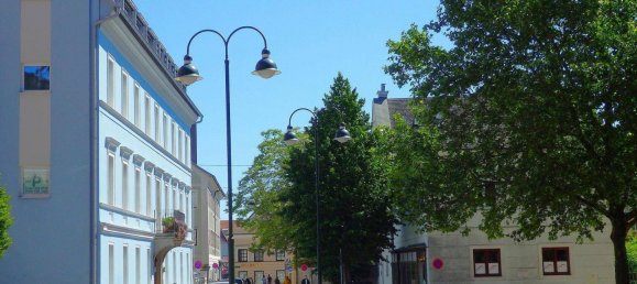 3 غرف نوم تاون هاوس في Linz, Austria رقم 160851 39