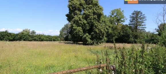 2 Schlafzimmer Haus in Pierre-de-Bresse, France, Nr. 311216 8