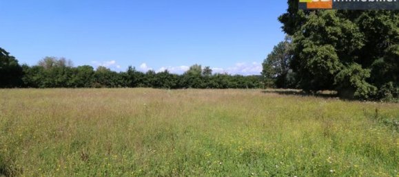 2 Schlafzimmer Haus in Pierre-de-Bresse, France, Nr. 311216 9