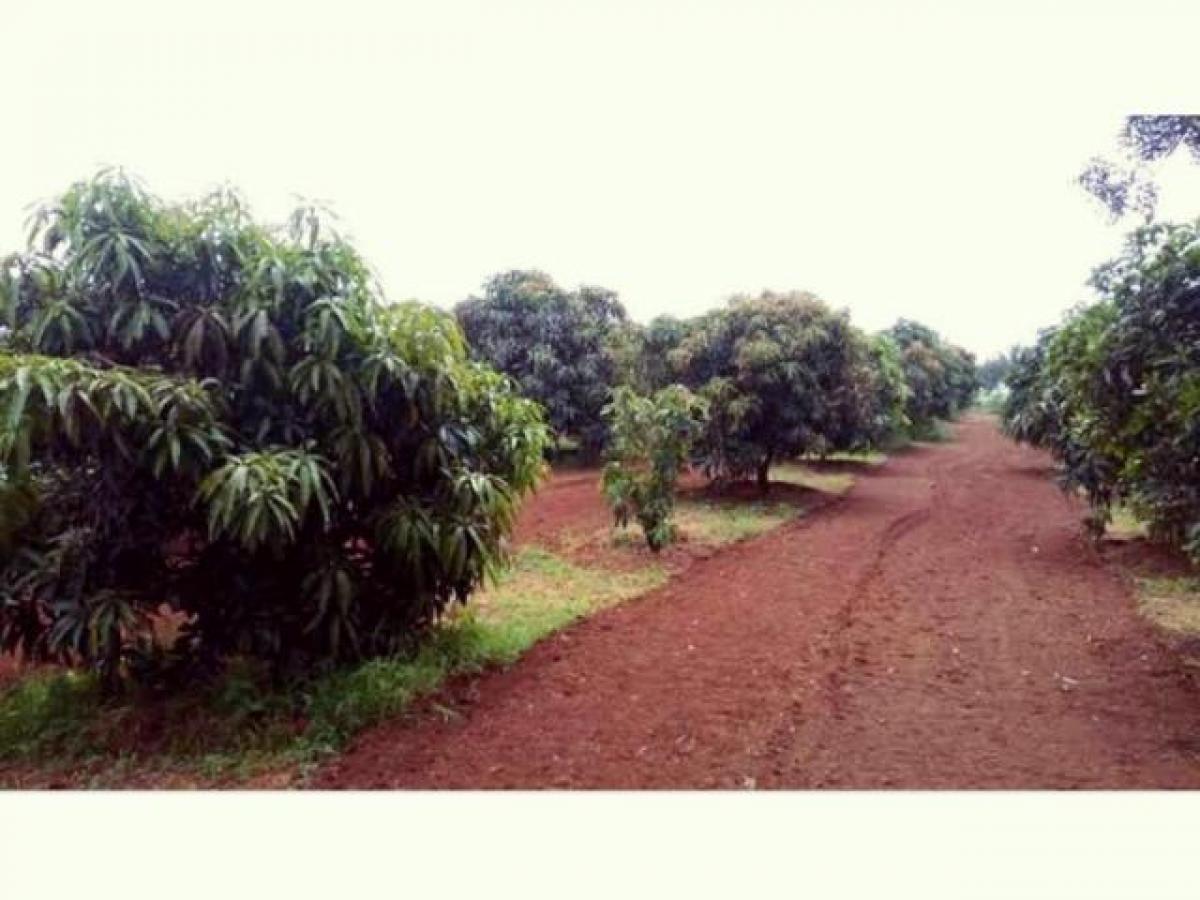  Land in Hyderabad, India No. 36569