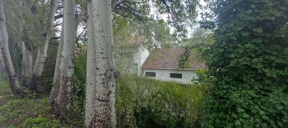 140m² Warehouse in Torres Novas, Portugal No. 69413 2