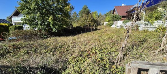 Terrain à Stockerau, Austria 718m² No. 134135 2