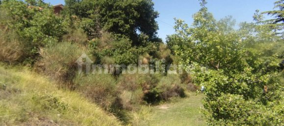 Земельный участок 799м² в Триест, Италия № 337890 3