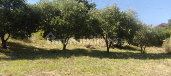 Земельный участок 799м² в Триест, Италия № 337890 2