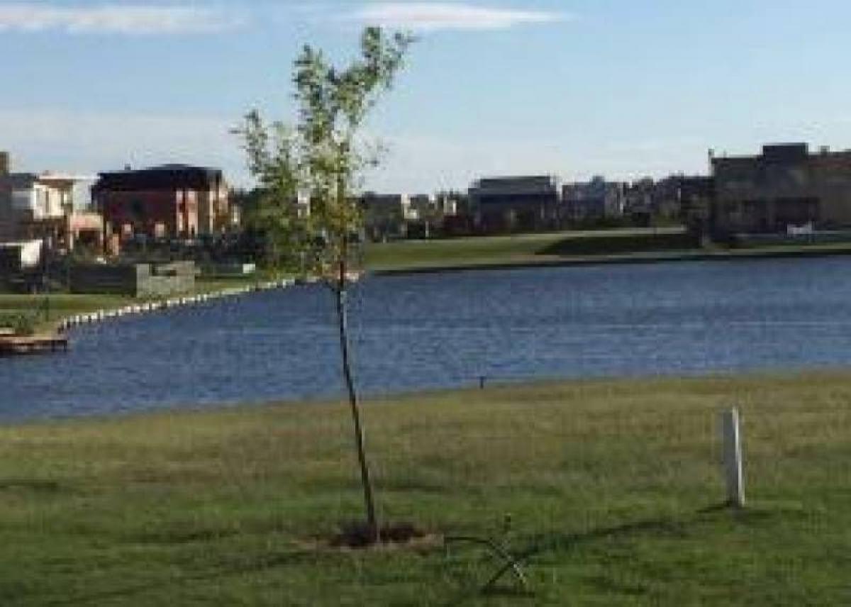 Grundstück in Tigre, Argentina, Nr. 36061