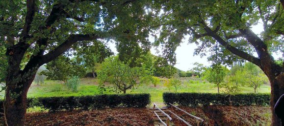 18 rooms Villa in Castiglione della Pescaia, Italy No. 145473 12