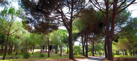 18 rooms Villa in Castiglione della Pescaia, Italy No. 145473 13