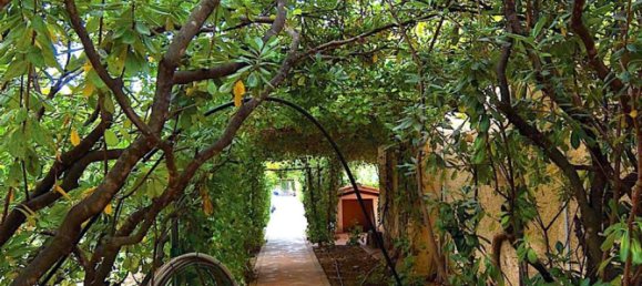 18 rooms Villa in Castiglione della Pescaia, Italy No. 145473 18