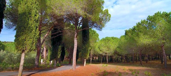 18 rooms Villa in Castiglione della Pescaia, Italy No. 145473 15
