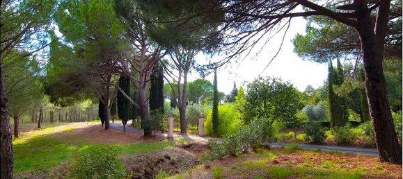 18 rooms Villa in Castiglione della Pescaia, Italy No. 145473 6