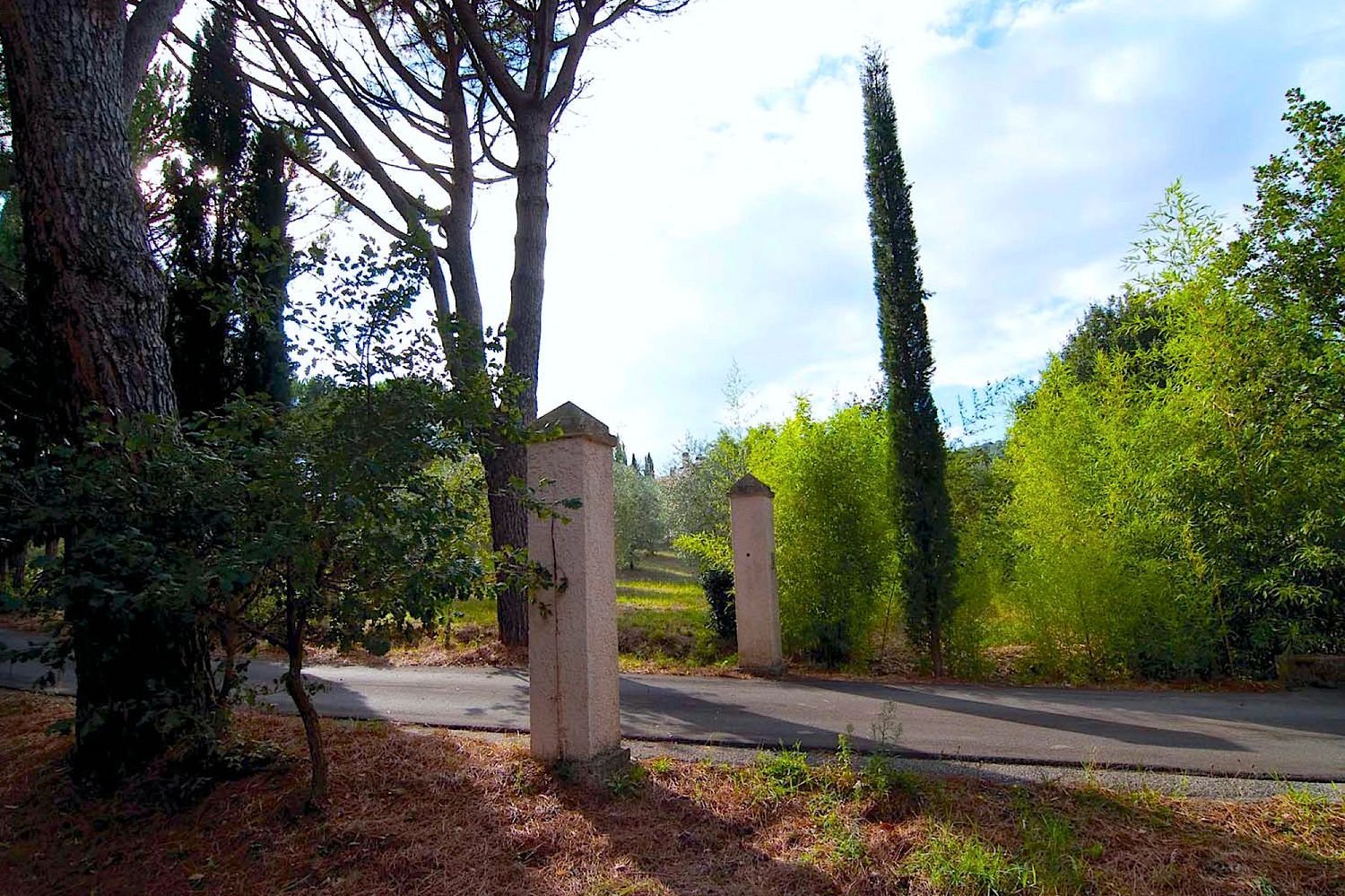 18 rooms Villa in Castiglione della Pescaia, Italy No. 145473