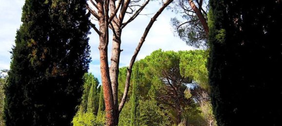 18 rooms Villa in Castiglione della Pescaia, Italy No. 145473 14