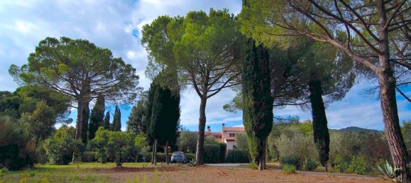 18 rooms Villa in Castiglione della Pescaia, Italy No. 145473 16