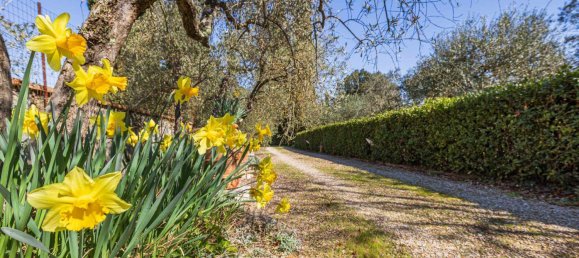 5 bedrooms Villa in Impruneta, Italy No. 237960 18