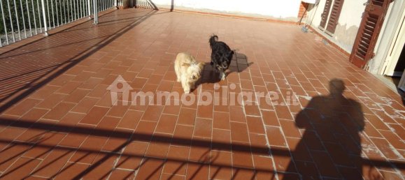 4 bedrooms House in Montespertoli, Italy No. 169170 18