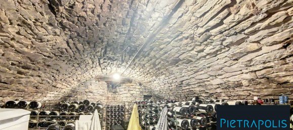 350m² Commercial property in Haute-Marne, France No. 222642 8