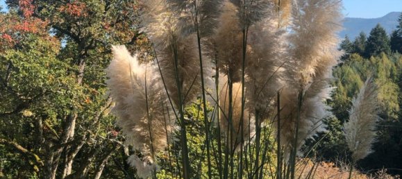  Land in Rastatt, Germany No. 262964 11