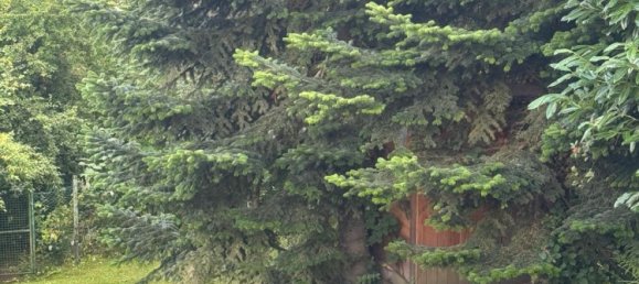  Land in Rastatt, Germany No. 262964 15