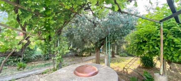 5 rooms Villa in Vasto, Italy No. 21068 19