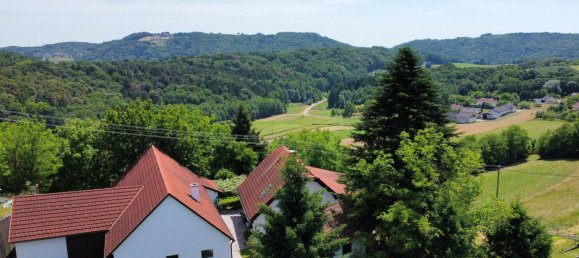 Casa de 1 dormitorio en Neuhaus am Klausenbach, Austria No. 130134 40