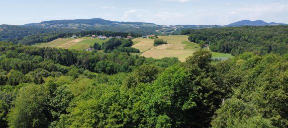 Casa de 1 dormitorio en Neuhaus am Klausenbach, Austria No. 130134 42