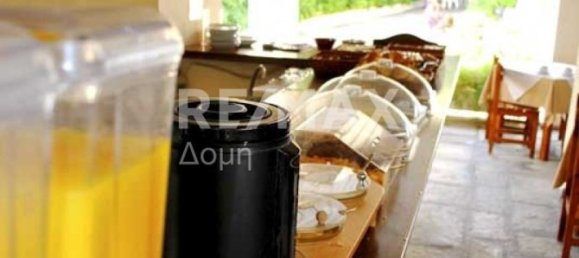 Отель, гостиница 2683м² в Муреси, Загора-Муреси, Магнисия, Фессалия, Фессалия и Центральная Греция, Греция № 748 22