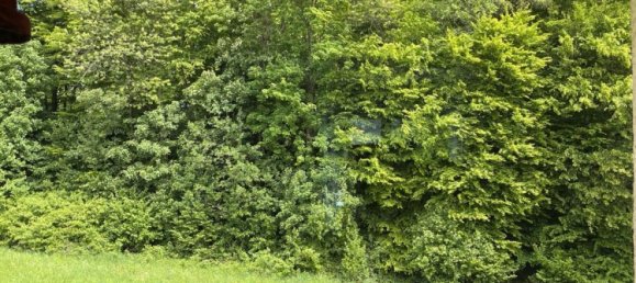 Квартира с 2 спальнями в Вестервальд, Германия № 269628 7