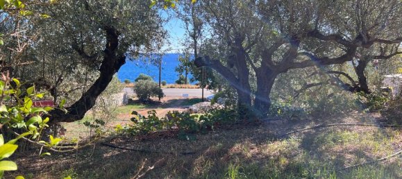 144m² Business in Lasithi, Greece No. 92946 14