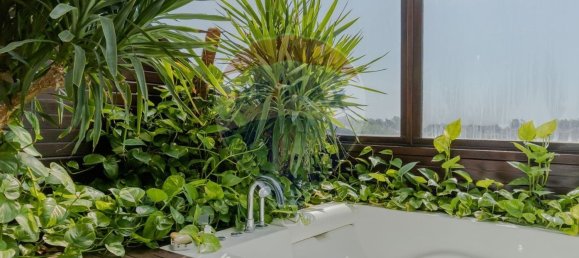 4 bedrooms Villa in Santa Maria da Feira, Portugal No. 87273 15