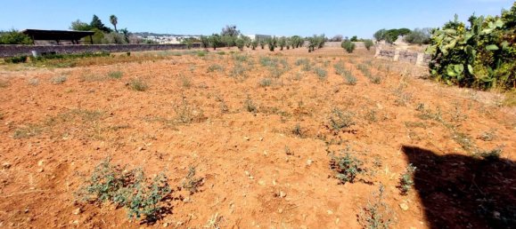 Grundstück in Tricase, Italy 986m², Nr. 153320 3