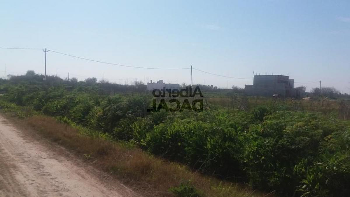 Grundstück in Campo Creado, Argentina, Nr. 40182