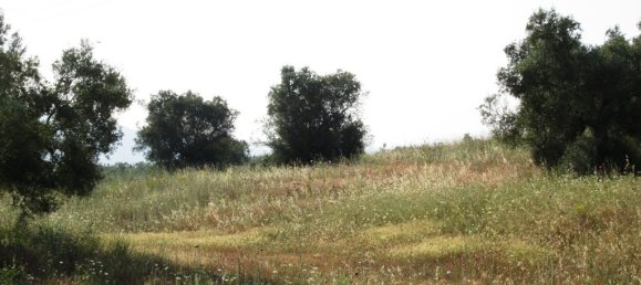 Отель, гостиница 12000м² в Полийирос, Халкидики, Центральная Македония, Македония и Фракия, Греция № 7199 5