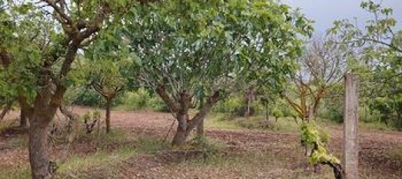 Земельный участок 4000м² в Сардиния, Италия № 281327 3