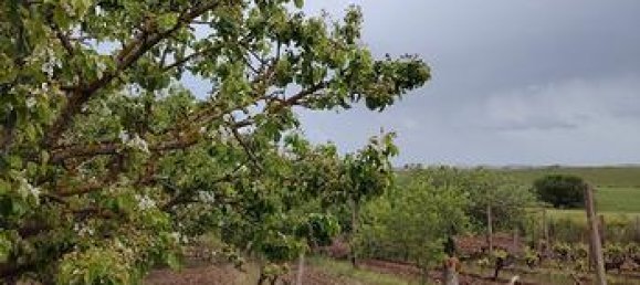 Земельный участок 4000м² в Сардиния, Италия № 281327 6