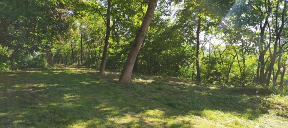 Terrain à Rems-Murr-Kreis, Germany No. 266758 2