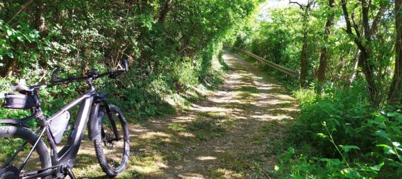 Terrain à Rems-Murr-Kreis, Germany No. 266758 10