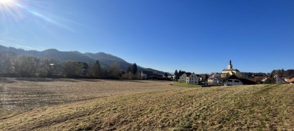 Land in Leutschach an der Weinstrasse, Austria No. 42029 4
