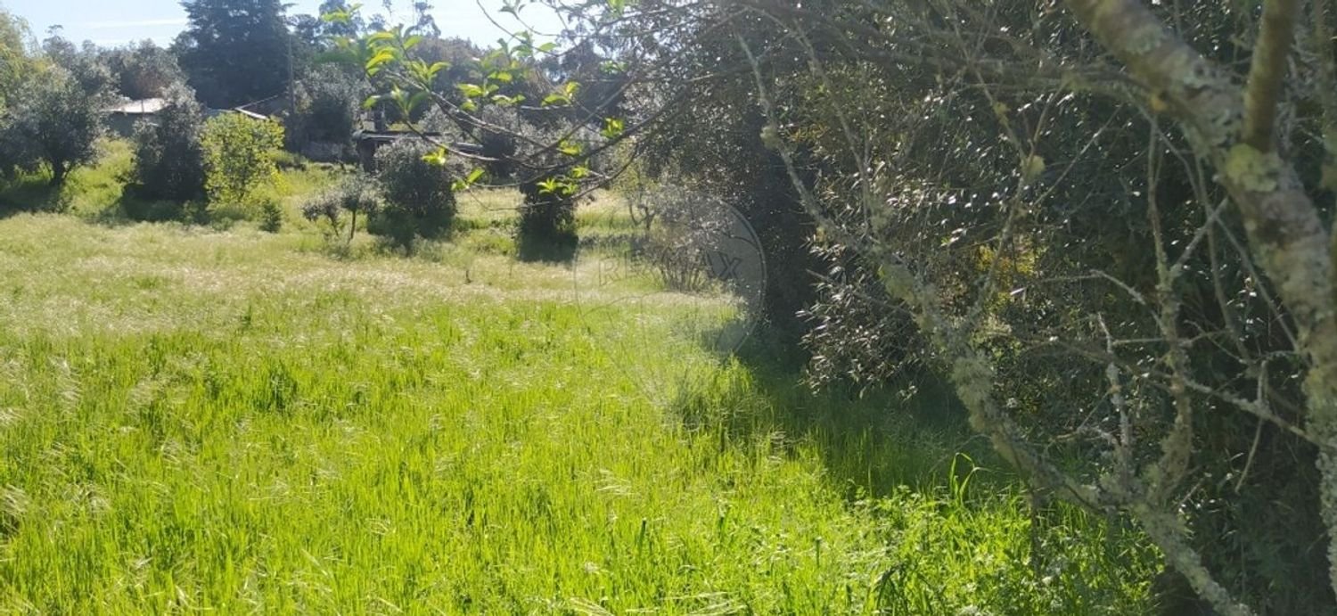 3 غرف نوم منزل في Macas de Dona Maria, Portugal رقم 161343