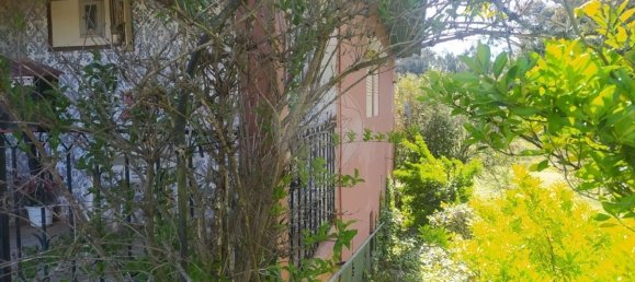 3 غرف نوم منزل في Macas de Dona Maria, Portugal رقم 161343 5