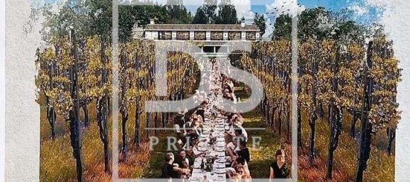 4 bedrooms Commercial property in Guimaraes, Portugal No. 158013 5