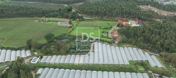 4 bedrooms Commercial property in Guimaraes, Portugal No. 158013 47