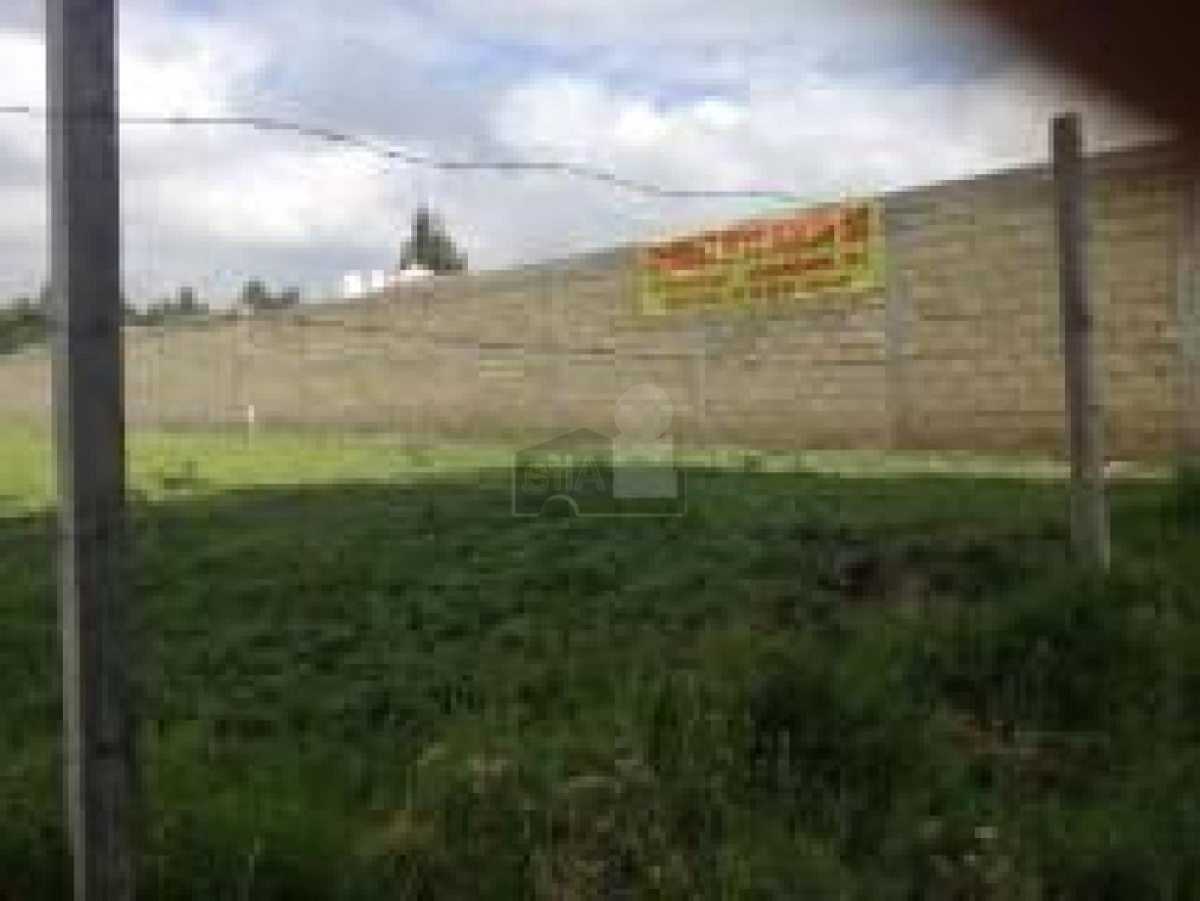  Land in Ciudad Lopez Mateos, Mexico No. 203182