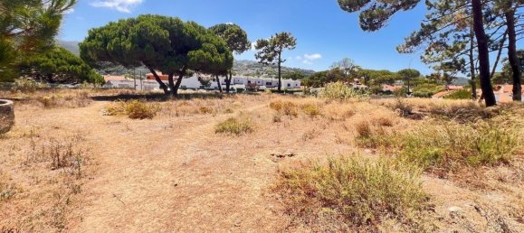 Terreno em Colares, Portugal N.º 137376 11
