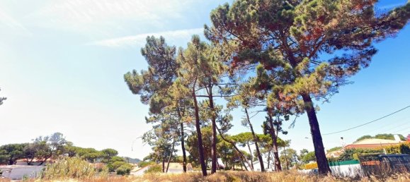 Terreno em Colares, Portugal N.º 137376 9