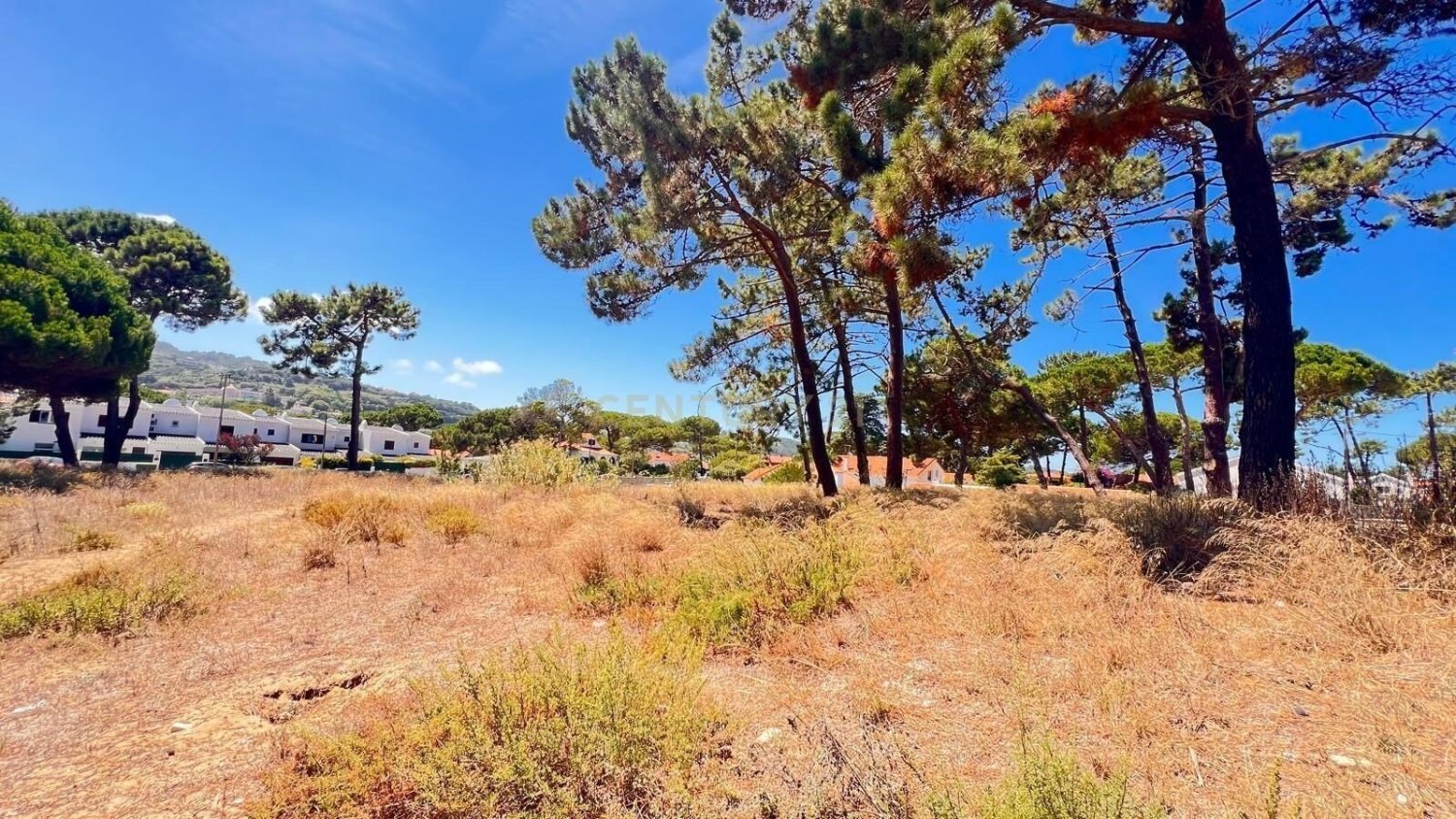 Terreno em Colares, Portugal N.º 137376