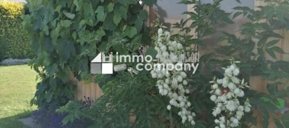 Terrain à Eggendorf, Austria No. 218497 7