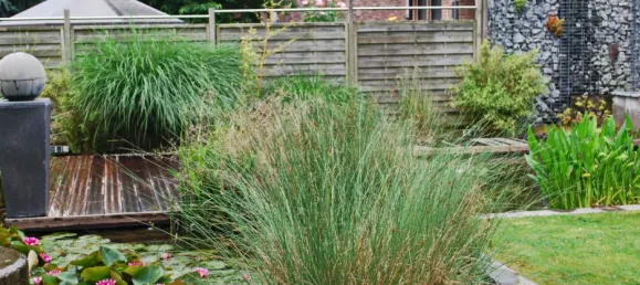 3 bedrooms House in Kleve, Germany No. 165258 15